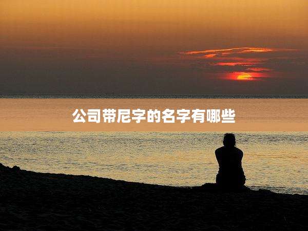 公司带尼字的名字有哪些