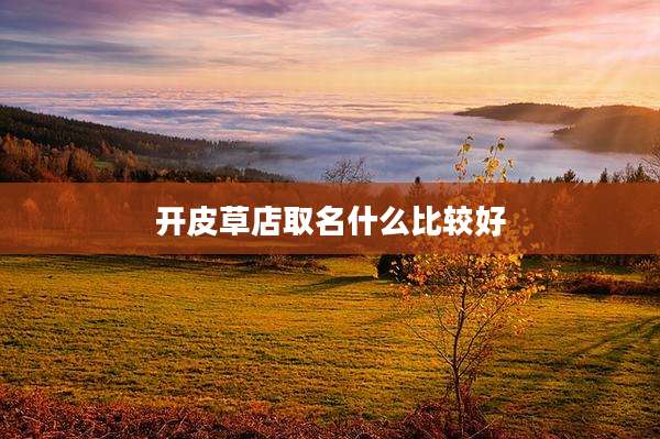 开皮草店取名什么比较好