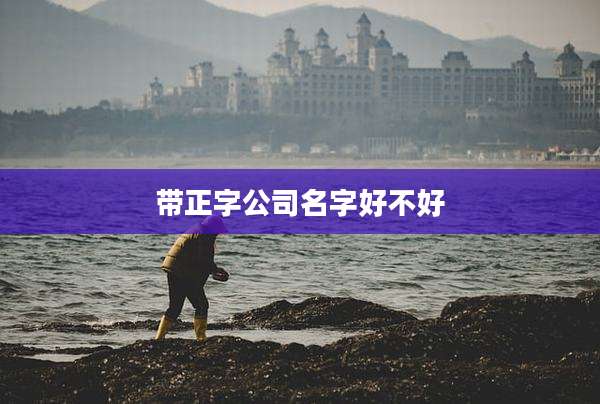 带正字公司名字好不好