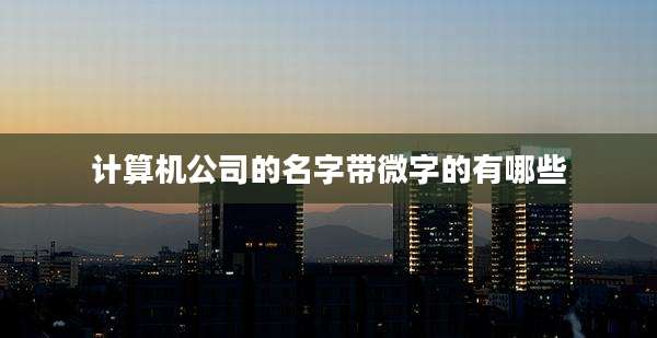 计算机公司的名字带微字的有哪些