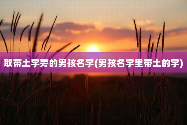 取带土字旁的男孩名字(男孩名字里带土的字)