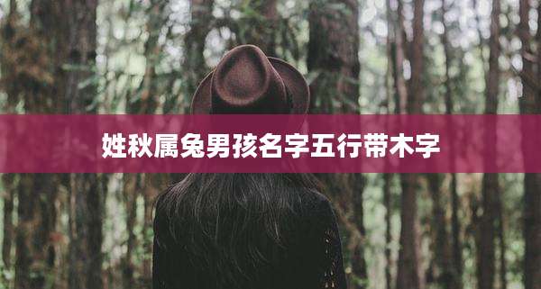 姓秋属兔男孩名字五行带木字