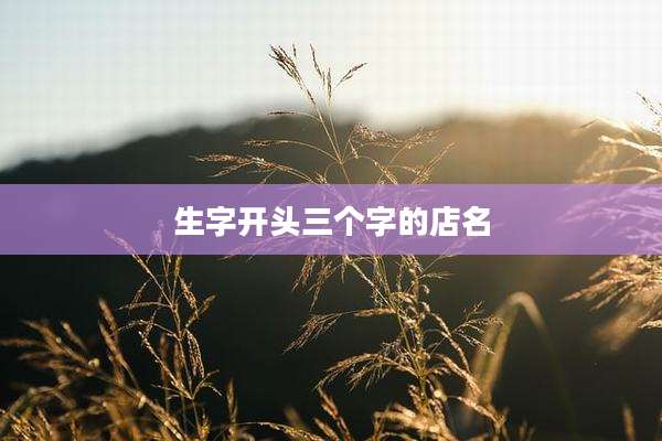 生字开头三个字的店名