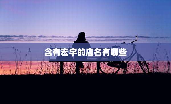 含有宏字的店名有哪些