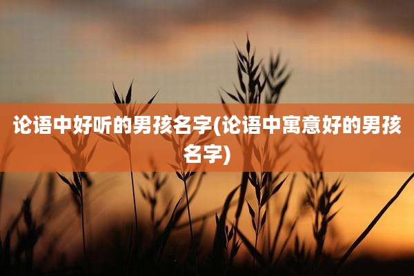 论语中好听的男孩名字(论语中寓意好的男孩名字)