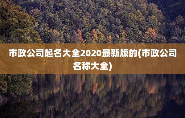 市政公司起名大全2020最新版的(市政公司名称大全)