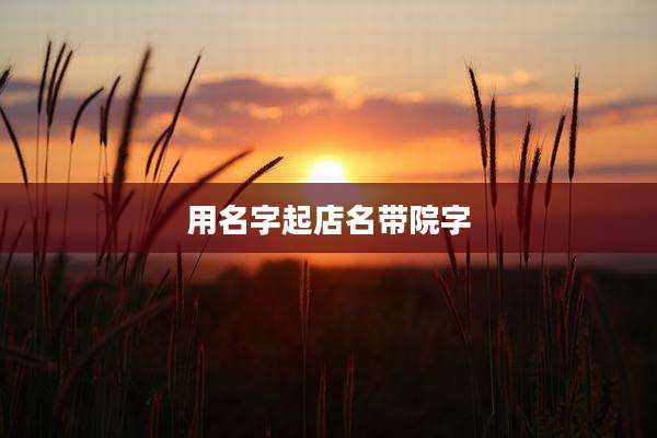 用名字起店名带院字