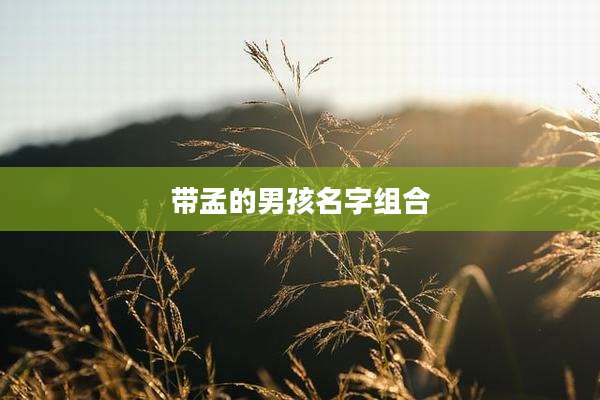 带孟的男孩名字组合