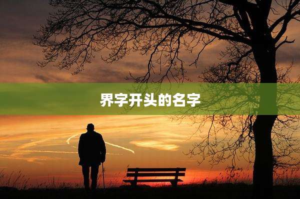 界字开头的名字