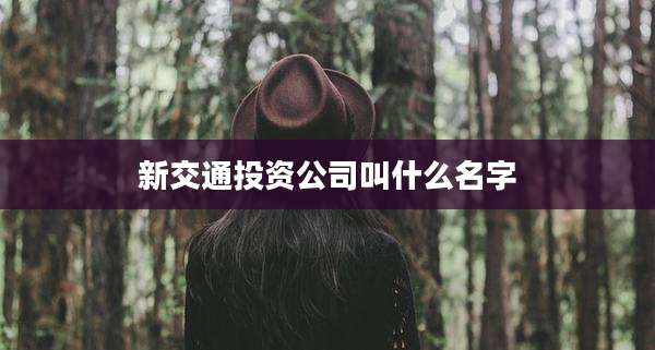 新交通投资公司叫什么名字