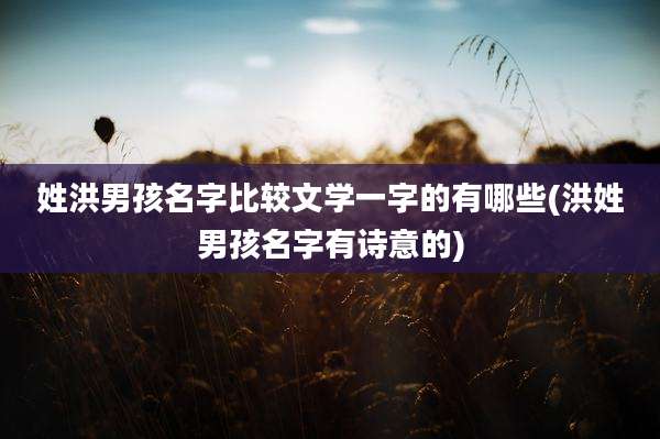 姓洪男孩名字比较文学一字的有哪些(洪姓男孩名字有诗意的)