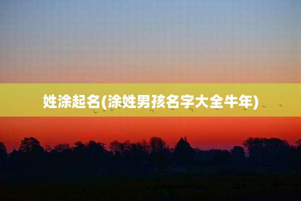 姓涂起名(涂姓男孩名字大全牛年)