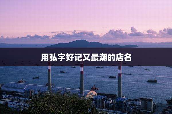 用弘字好记又最潮的店名