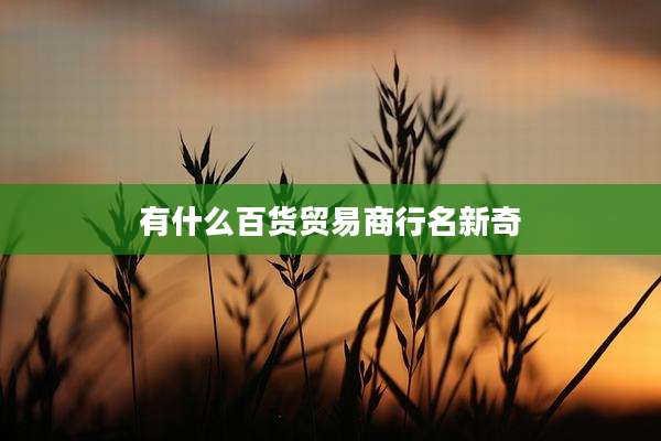 有什么百货贸易商行名新奇