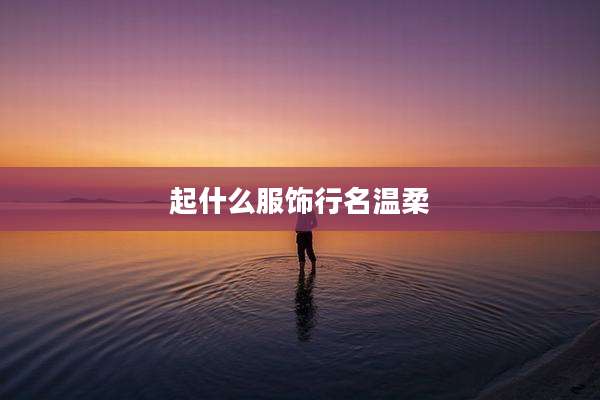 起什么服饰行名温柔