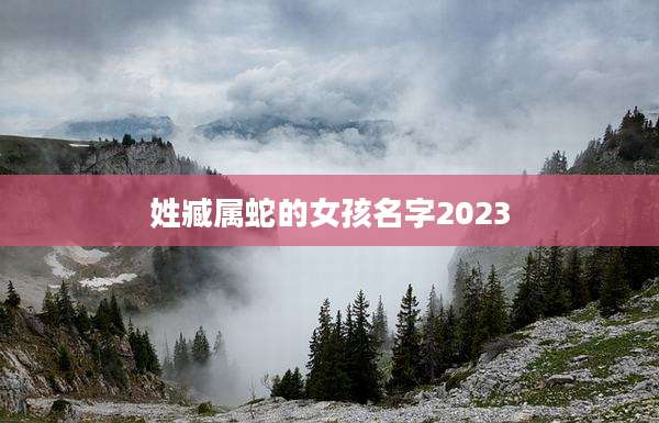 姓臧属蛇的女孩名字2023