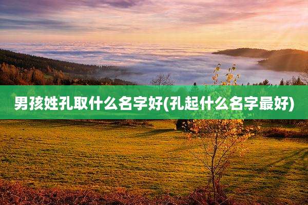 男孩姓孔取什么名字好(孔起什么名字最好)