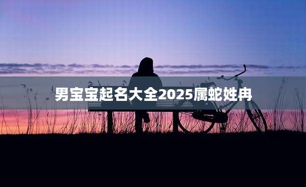 男宝宝起名大全2025属蛇姓冉