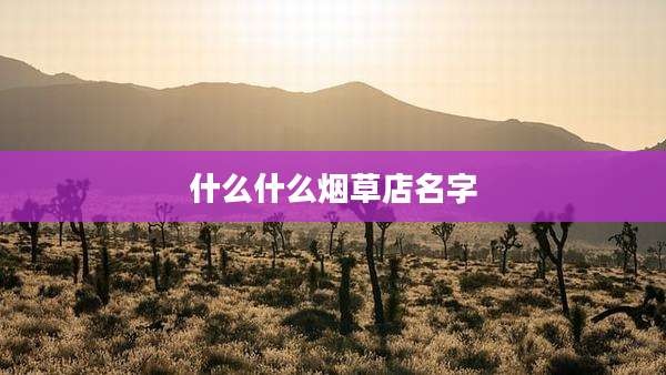 什么什么烟草店名字
