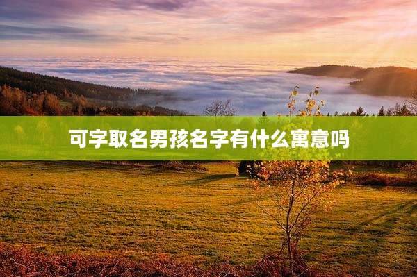 可字取名男孩名字有什么寓意吗