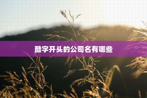 酷字开头的公司名有哪些