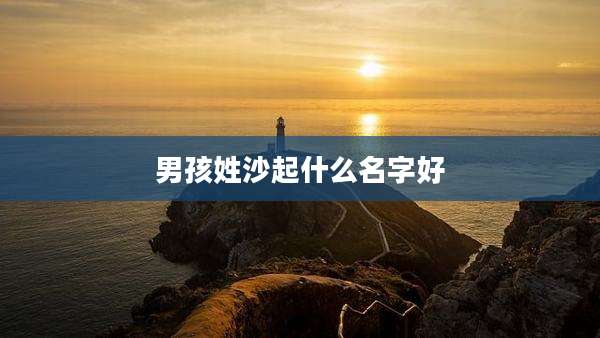 男孩姓沙起什么名字好