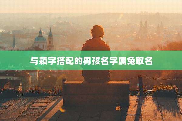 与颖字搭配的男孩名字属兔取名