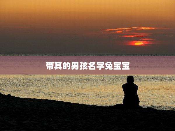 带其的男孩名字兔宝宝