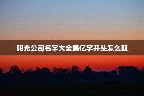 阳光公司名字大全集亿字开头怎么取