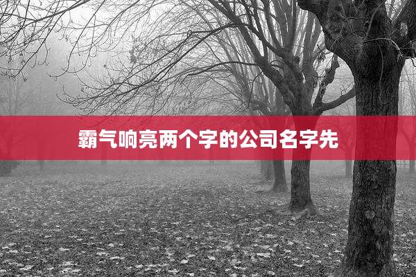 霸气响亮两个字的公司名字先