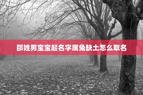 邵姓男宝宝起名字属兔缺土怎么取名