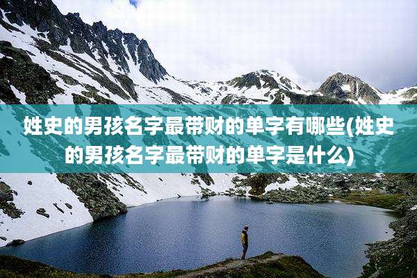 姓史的男孩名字最带财的单字有哪些(姓史的男孩名字最带财的单字是什么)