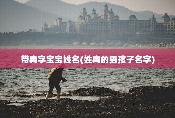 带冉字宝宝姓名(姓冉的男孩子名字)
