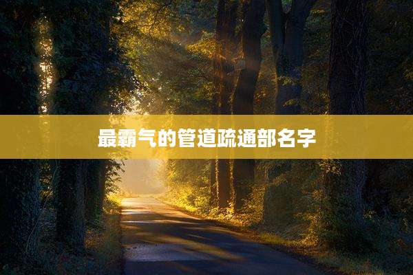 最霸气的管道疏通部名字