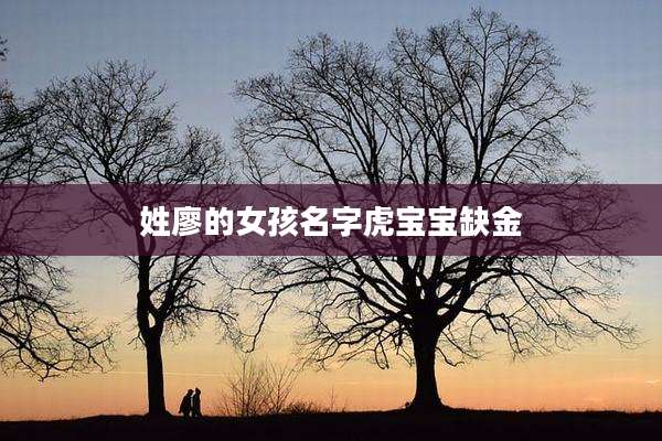 姓廖的女孩名字虎宝宝缺金