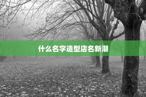 什么名字造型店名新潮