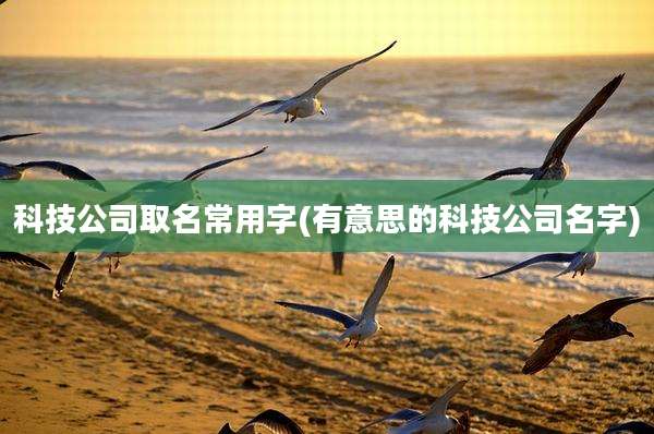 科技公司取名常用字(有意思的科技公司名字)