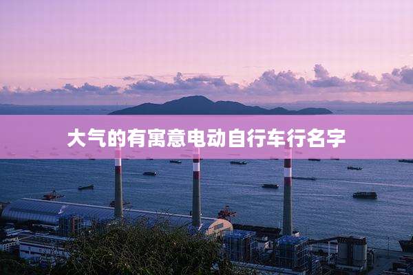 大气的有寓意电动自行车行名字