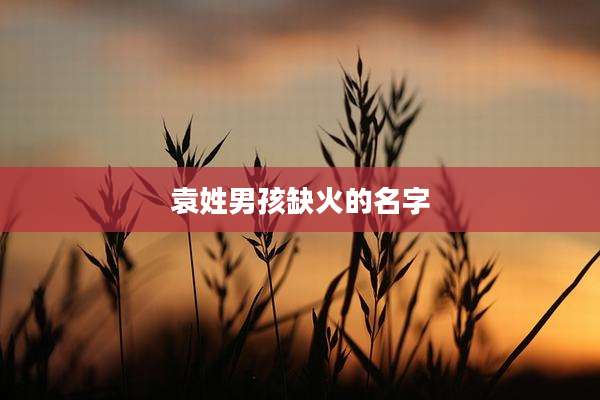 袁姓男孩缺火的名字