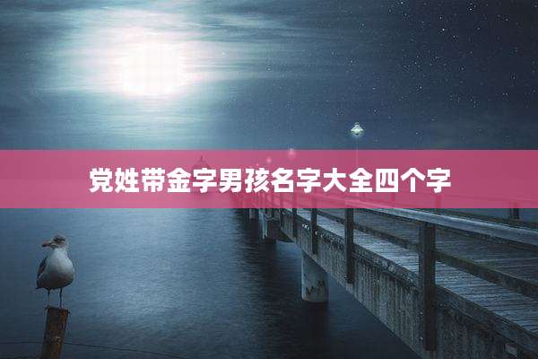 党姓带金字男孩名字大全四个字