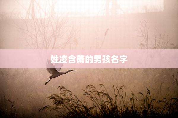 姓凌含萧的男孩名字