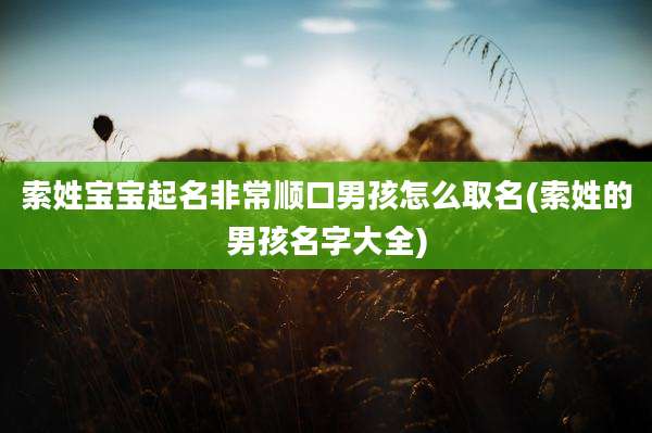 索姓宝宝起名非常顺口男孩怎么取名(索姓的男孩名字大全)