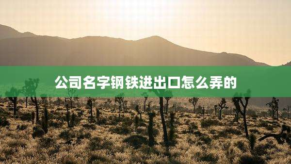 公司名字钢铁进出口怎么弄的