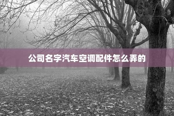 公司名字汽车空调配件怎么弄的