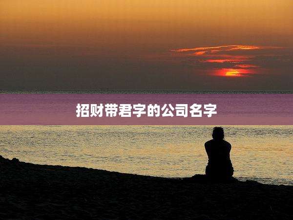 招财带君字的公司名字
