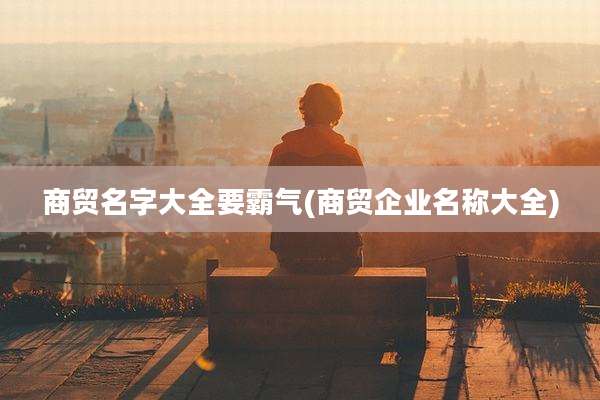 商贸名字大全要霸气(商贸企业名称大全)