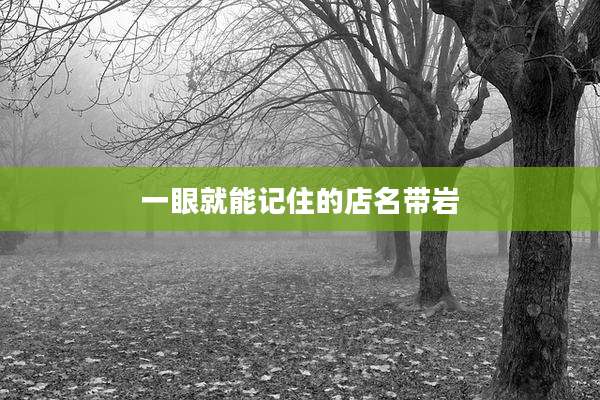 一眼就能记住的店名带岩