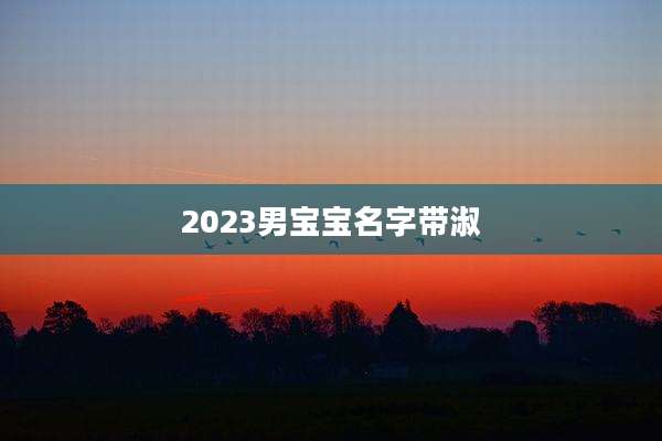 2023男宝宝名字带淑