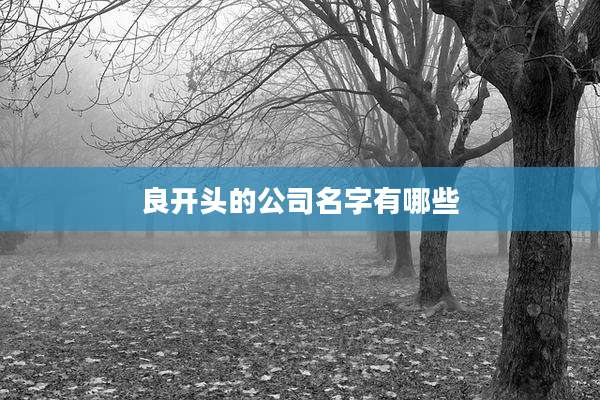 良开头的公司名字有哪些