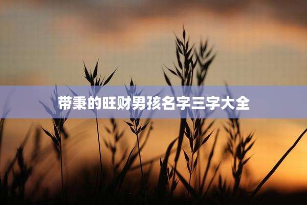 带秉的旺财男孩名字三字大全
